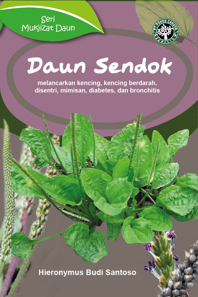 Daun sendok [sumber elektronis] : melancarkan kencing, kencing berdarah, disentri, mimisan, diabetes, dan bronchitis