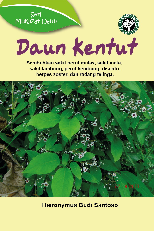 Daun kentut [sumber elektronis] : sembuhkan sakit perut mulas, sakit mata, sakit lambung, perut kembung, disentri, herpes zoster, dan radang telinga