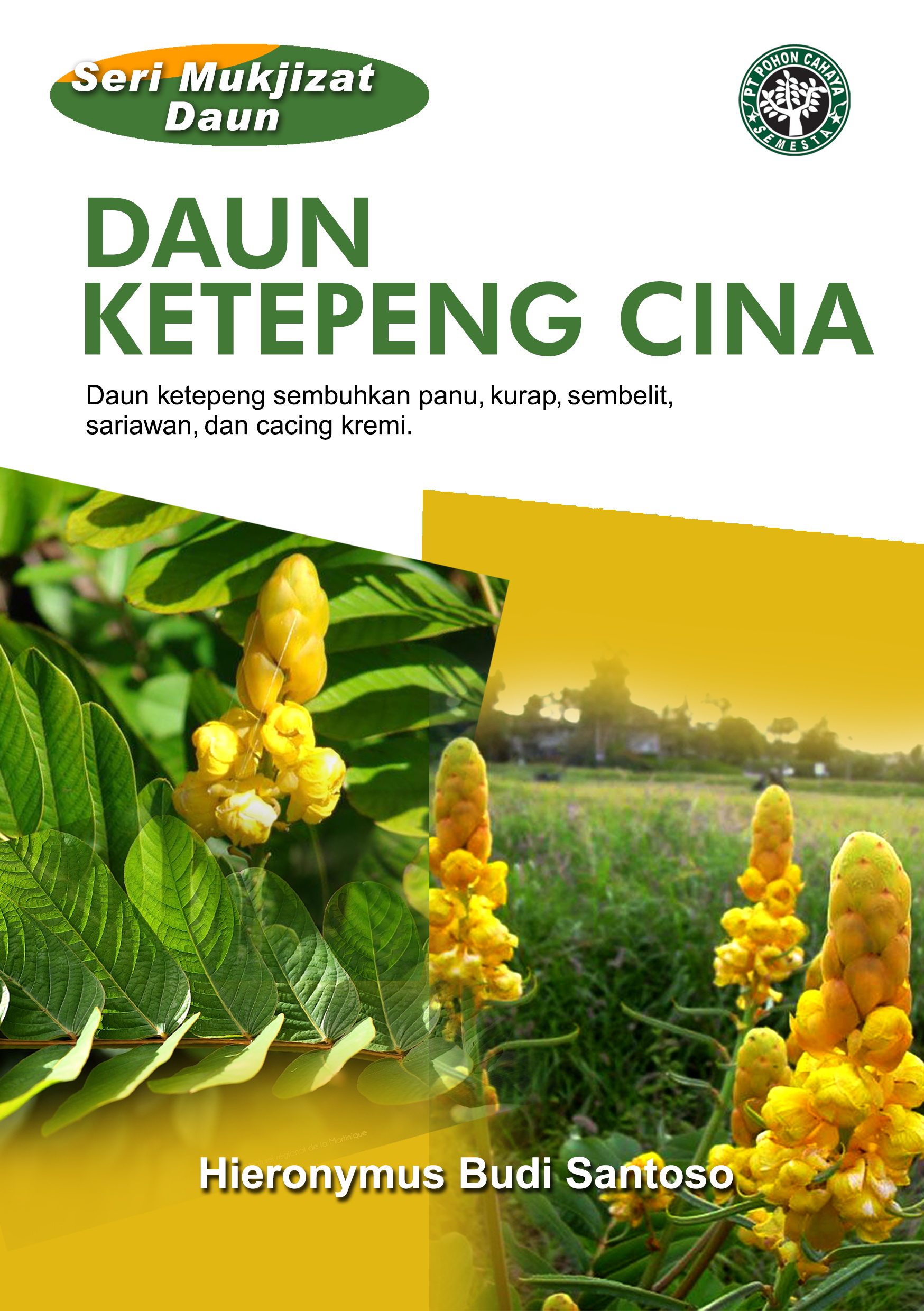 Daun ketepeng Cina [sumber elektronis] : daun ketepeng sembuhkan panu, kurap, sembelit, sariawan, dan cacing kremi.