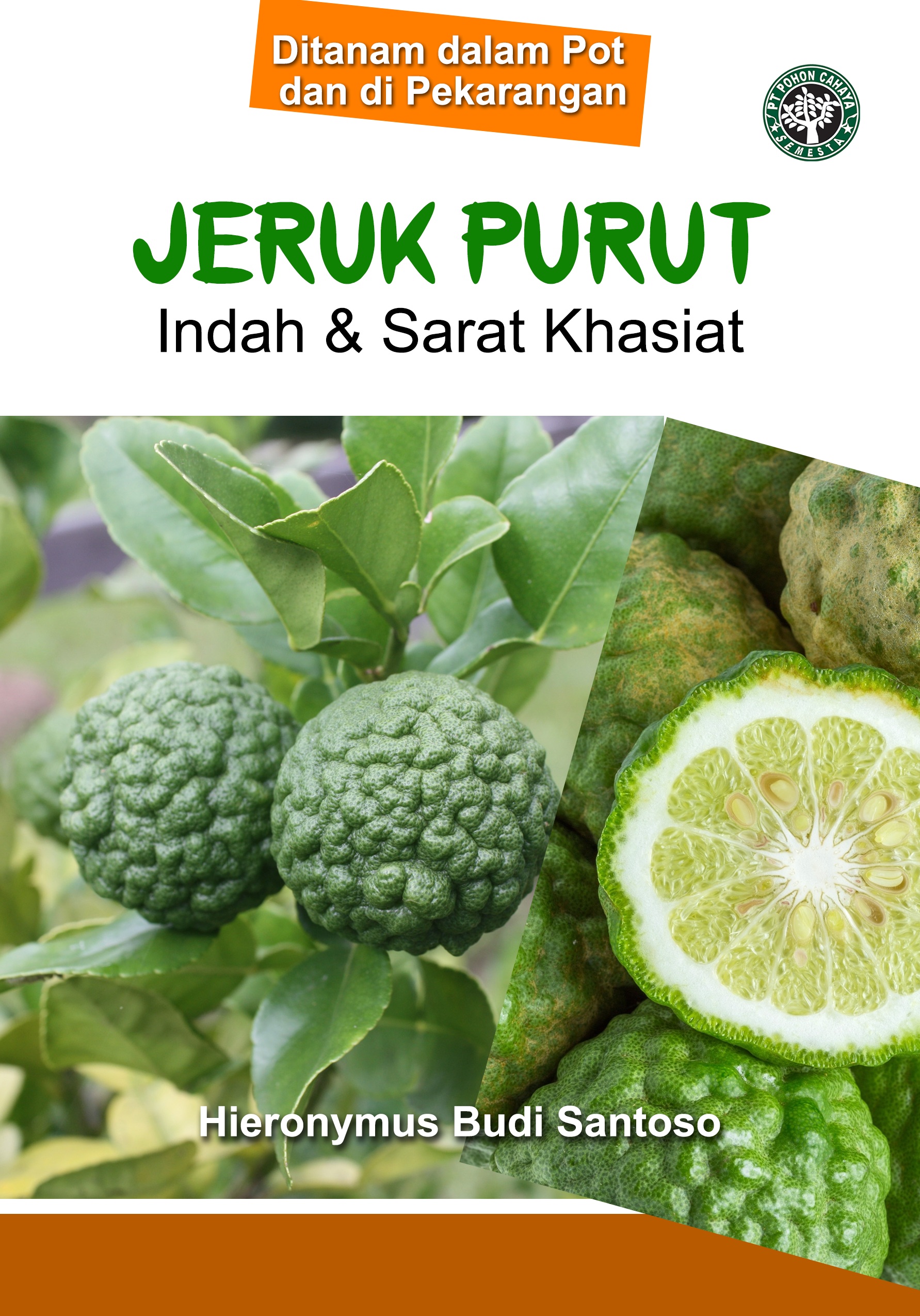 Jeruk purut [sumber elektronis] : indah & syarat khasiat : ditanam dalam pot dan di pekarangan