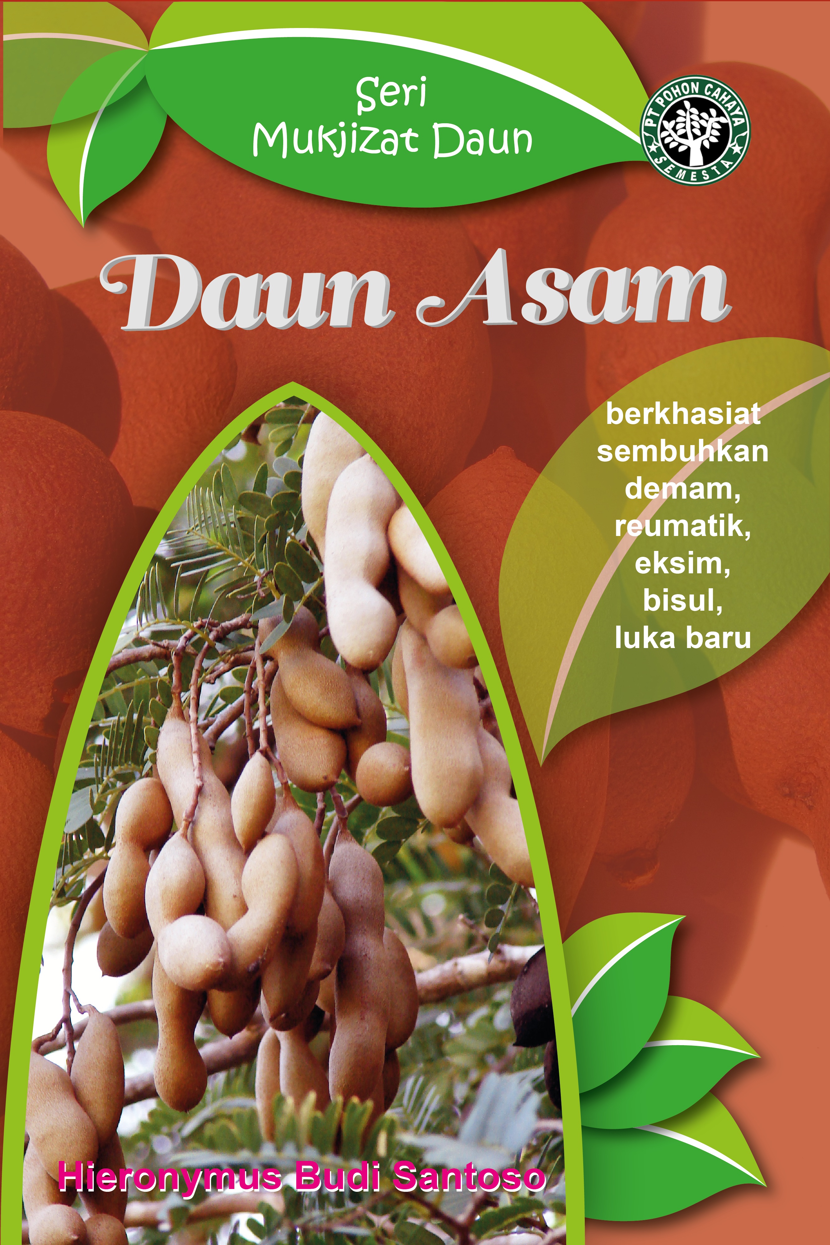 Daun asam [sumber elektronis] : berkhasiat sembuhkan demam, reumatik, eksim, bisul, luka baru