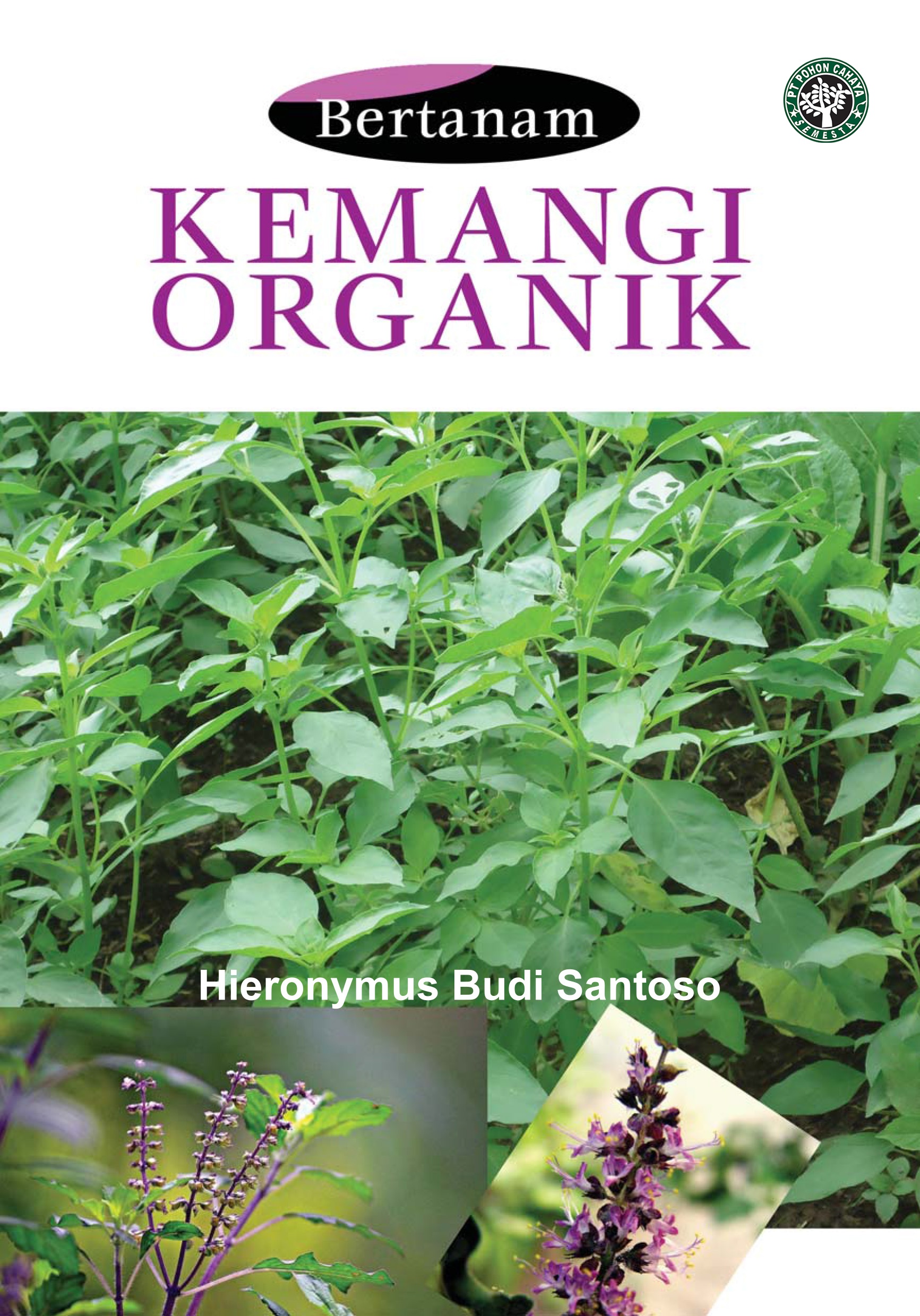 Bertanam kemangi organik [sumber elektronis]