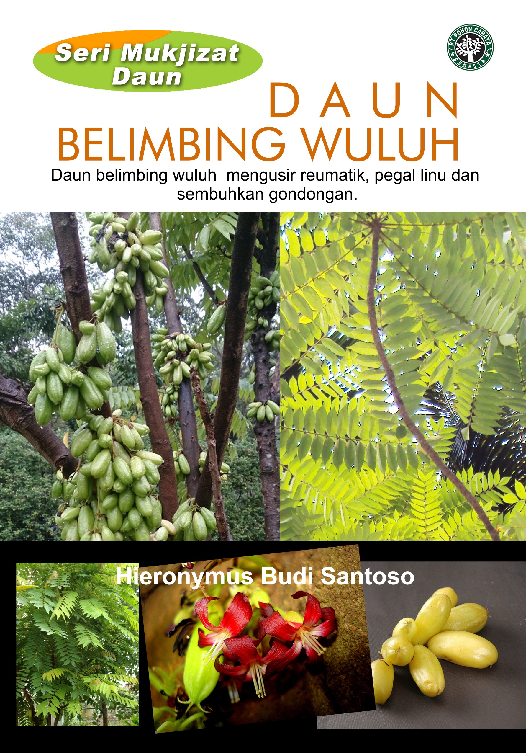 Daun belimbing wuluh [sumber elektronis] : daun belimbing wuluh mengusir reumatik, pegal linu dan sembuhkan gondongan