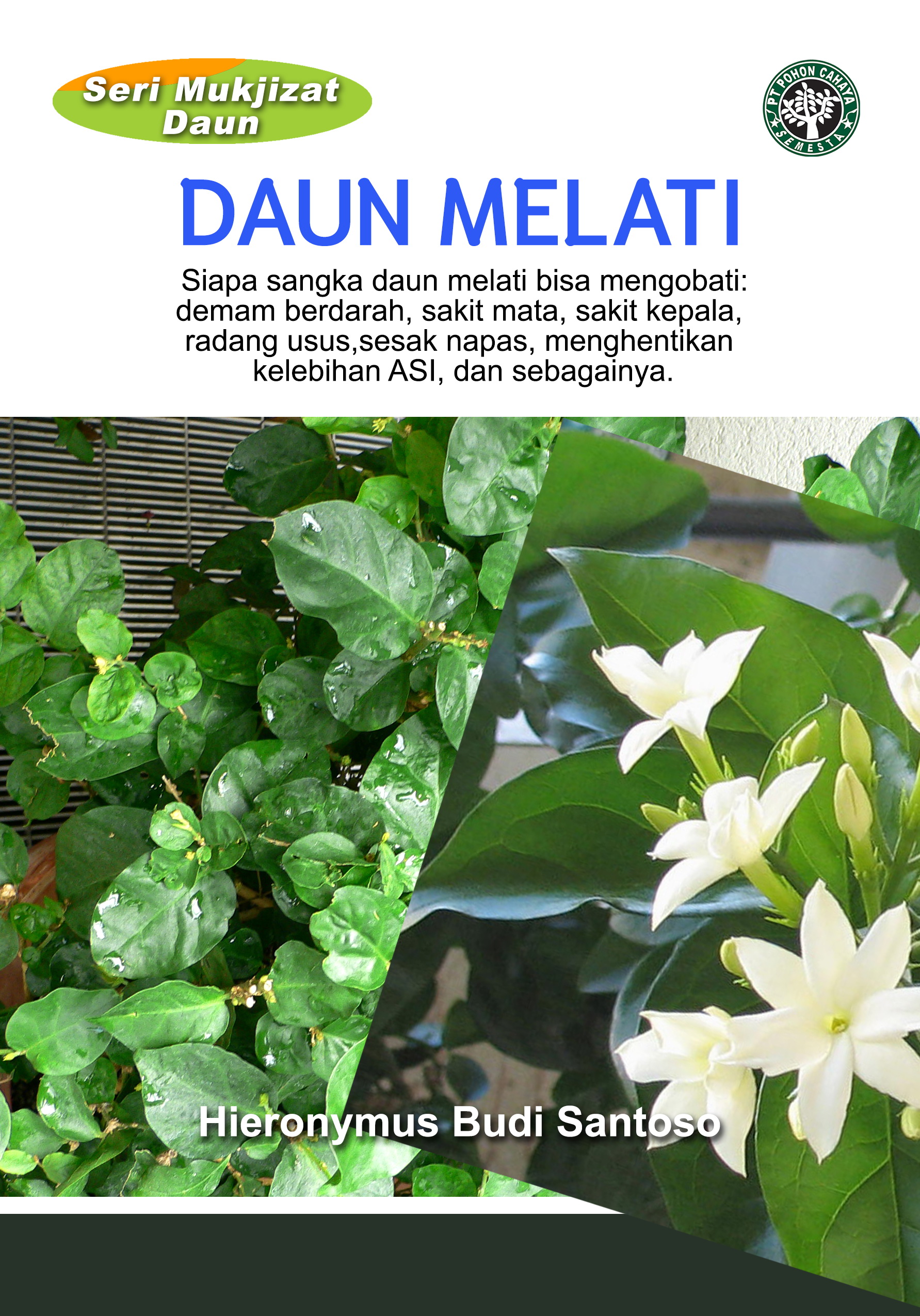 Daun melati [sumber elektronis] : siapa sangka daun melati bisa mengobati: demam berdarah, sakit mata, sakit kepala, radang usus,sesak napas, menghentikan kelebihan asi, dan sebagainya.