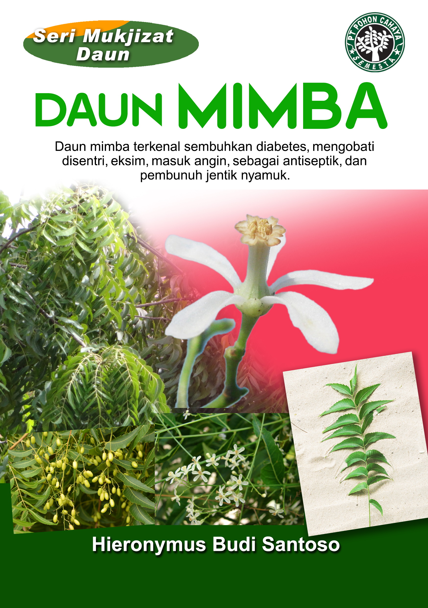 Daun mimba [sumber elektronis] : daun mimba terkenal sembuhkan diabetes, mengobati disentri, eksim, masuk angin, sebagai antiseptik, dan pembunuh jentik nyamuk