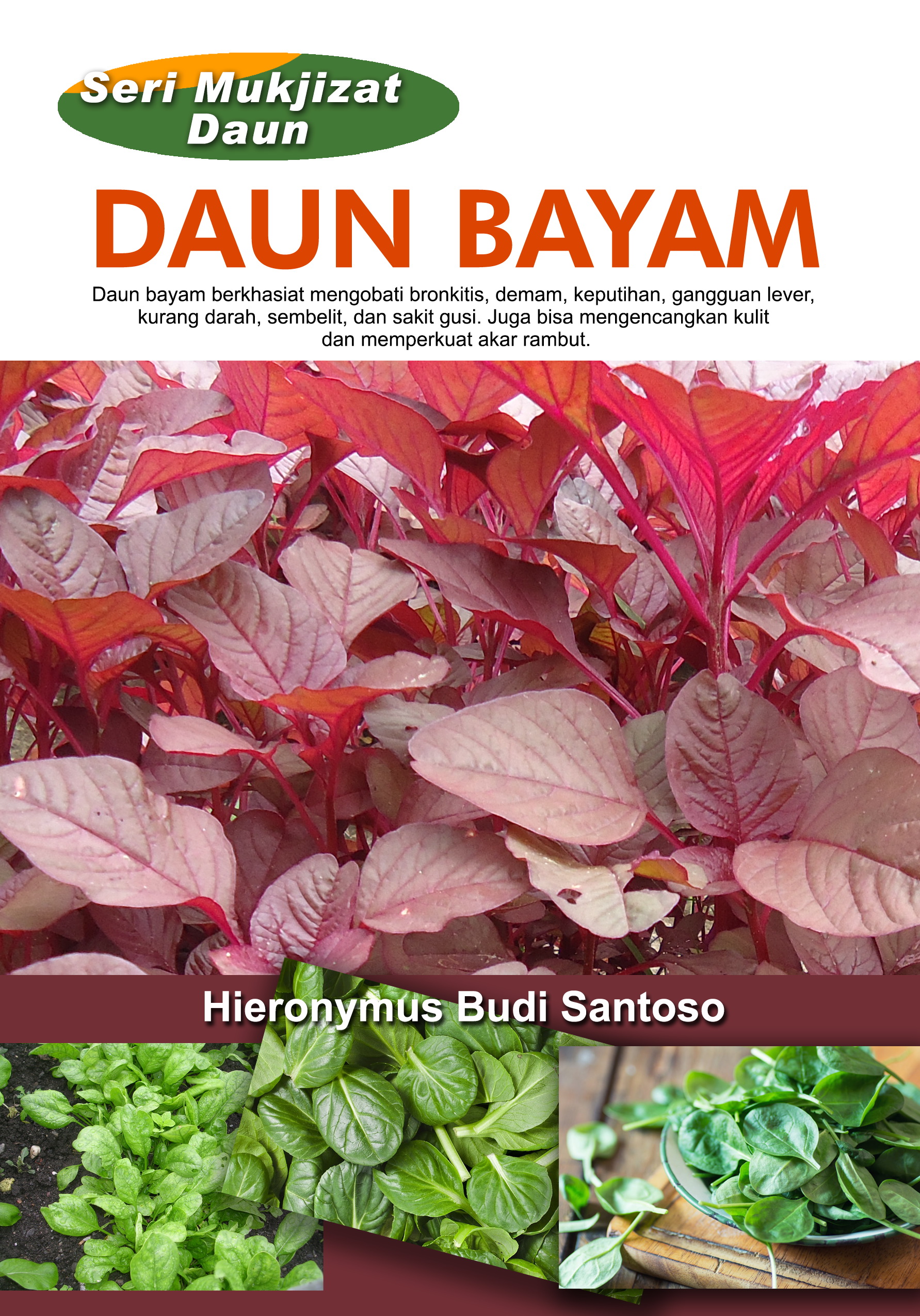 Daun bayam [sumber elektronis]