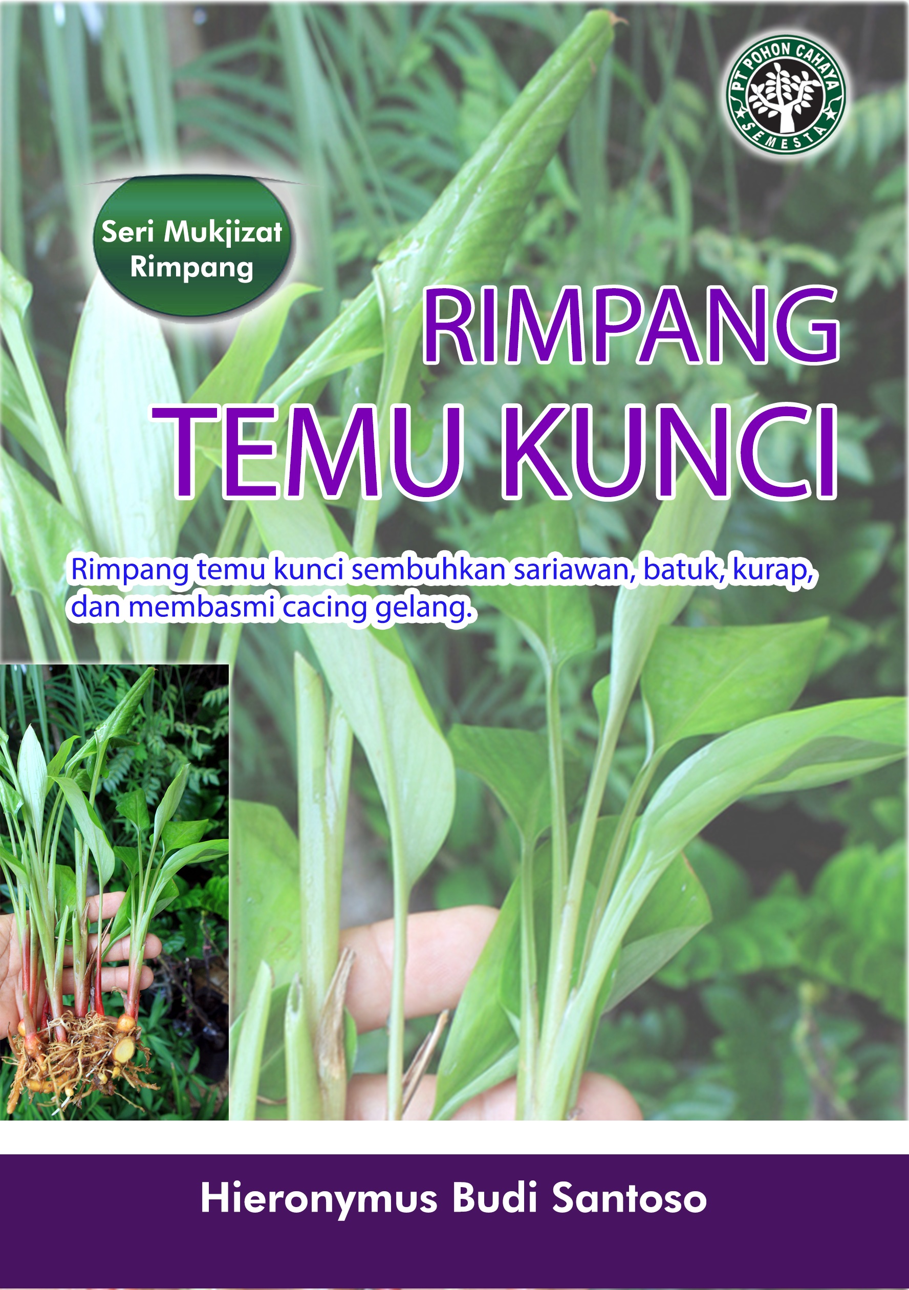 Rimpang temu kunci [sumber elektronis]: rimpang temu kunci sembuhkan sariawan, batuk, kurap, dan membasmi cacing gelang.