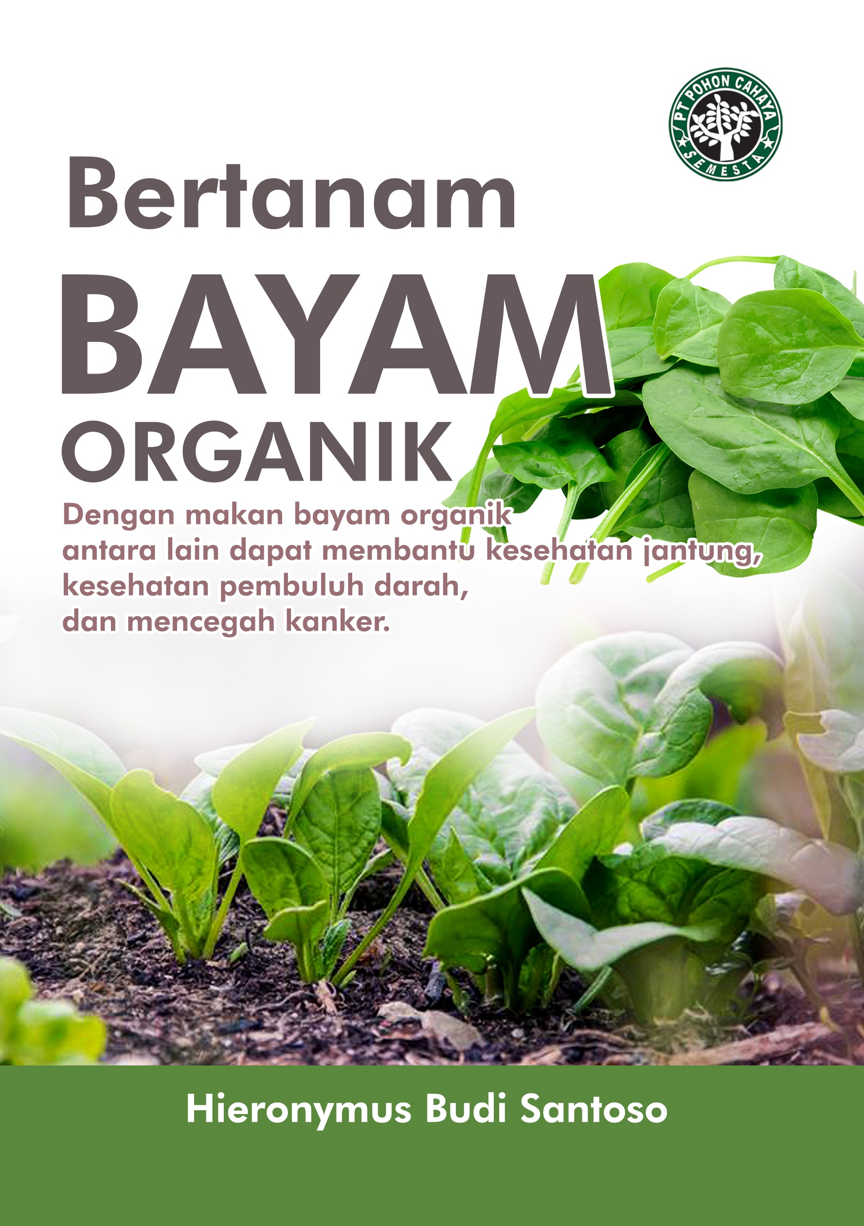 Bertanam bayam organik [sumber elektronis] : dengan makan bayam organik antara lain dapat membantu kesehatan jantung, kesehatan pembuluh darah, dan mencegah kanker.