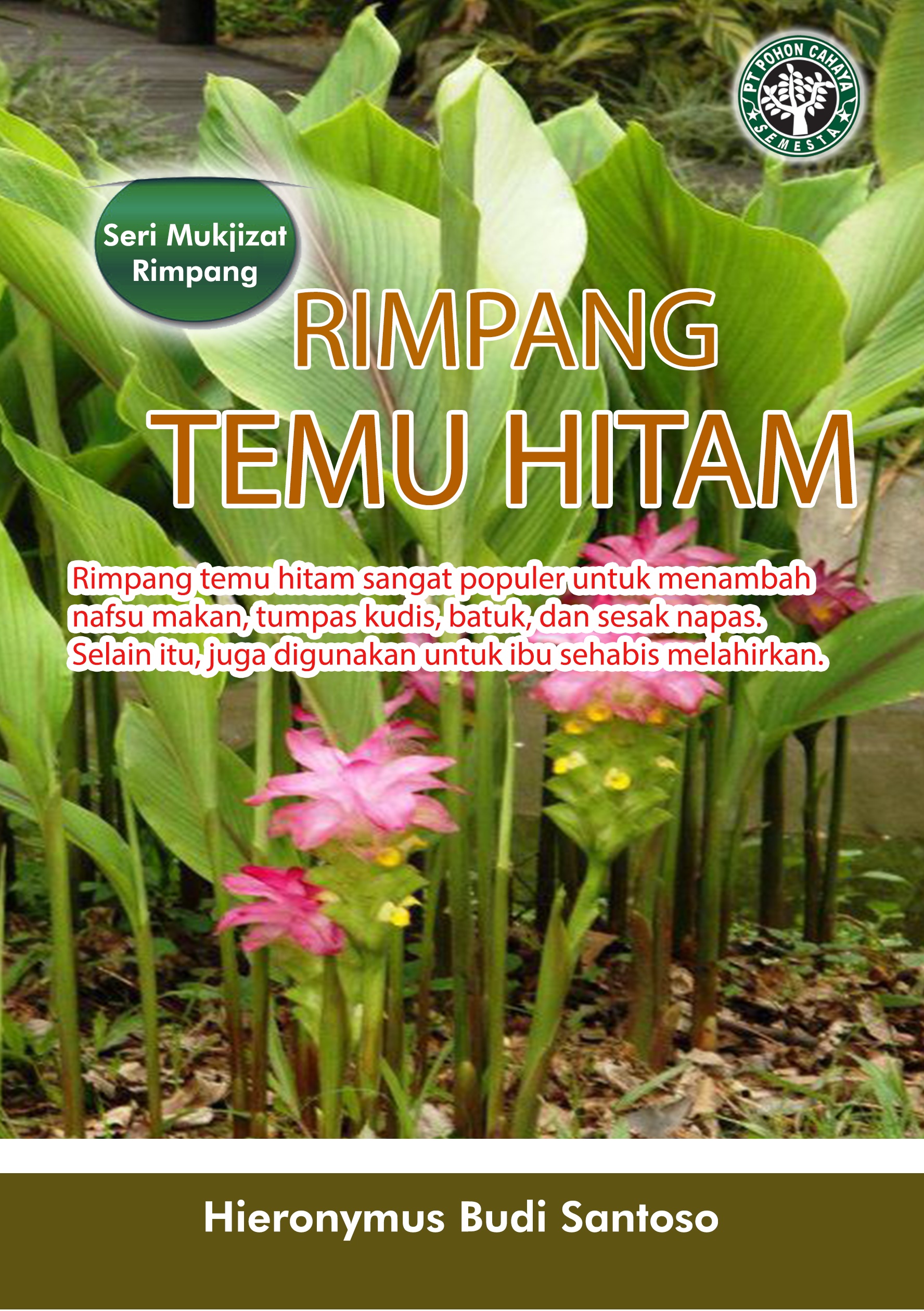 Rimpang temu hitam [sumber elektronis] : rimpang temu hitam sangat populer untuk menambah nafsu makan, tumpas kudis, batuk, dan sesak napas. selain itu, juga digunakan untuk ibu sehabis melahirkan.