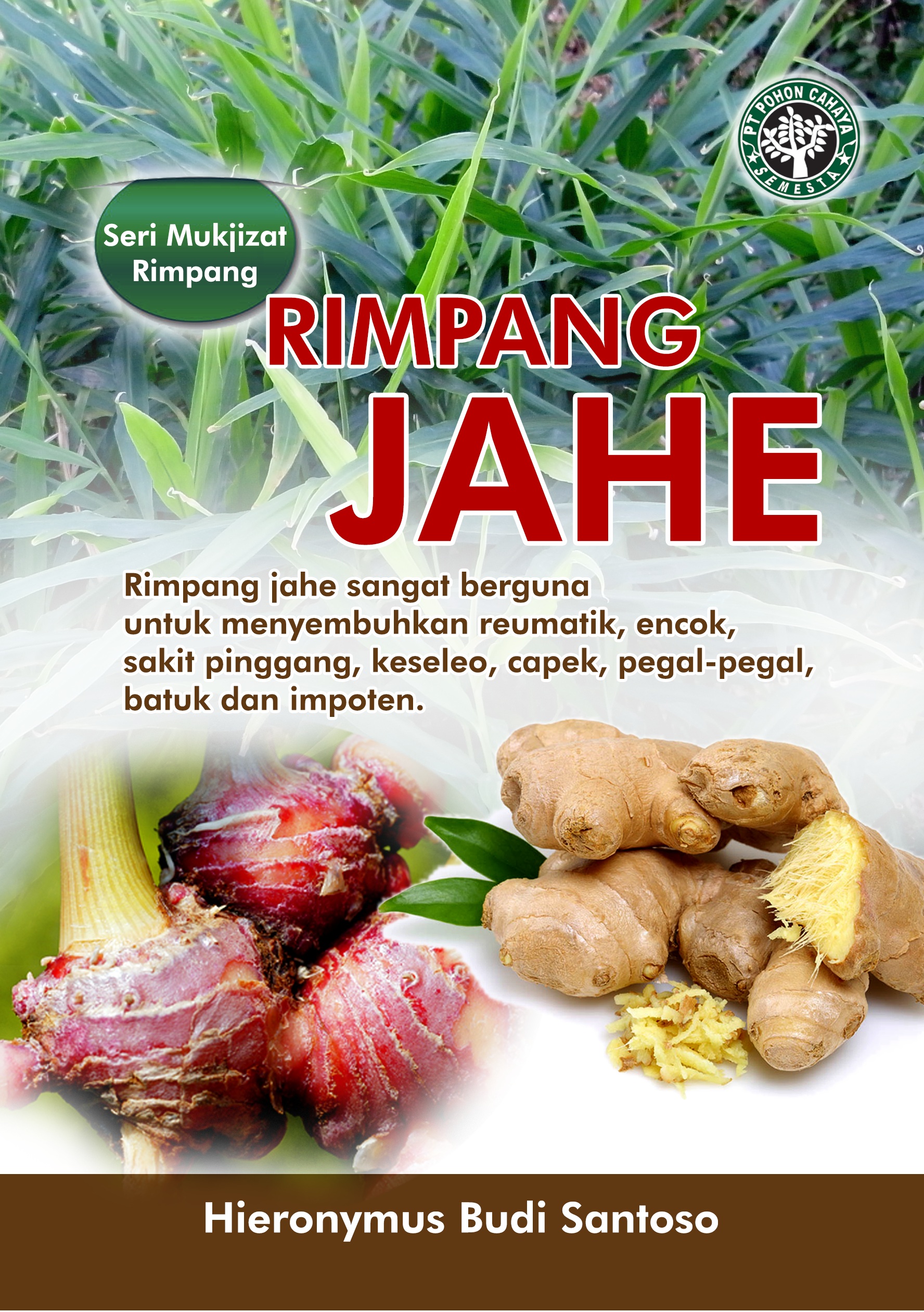 Rimpang jahe  [sumber elektronis] : rimpang jahe sangat berguna untuk menyembuhkan reumatik, encok, sakit pinggang, keseleo, capek, pegal-pegal, batuk dan impoten