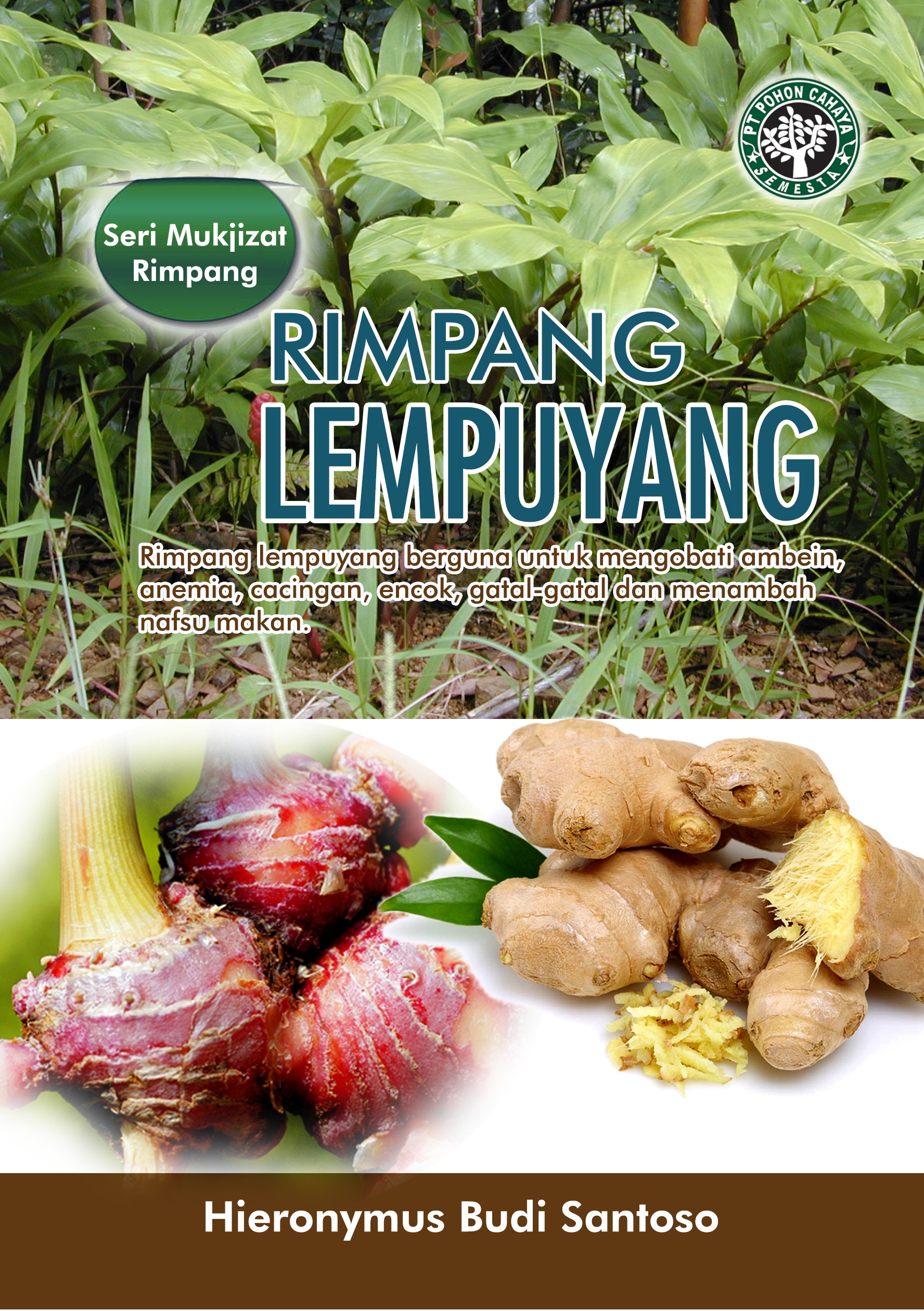 Rimpang lempuyang [sumber elektronis]  : rimpang lempuyang berguna untuk mengobati ambein, anemia, cacingan, encok, gatal-gatal dan menambah nafsu makan