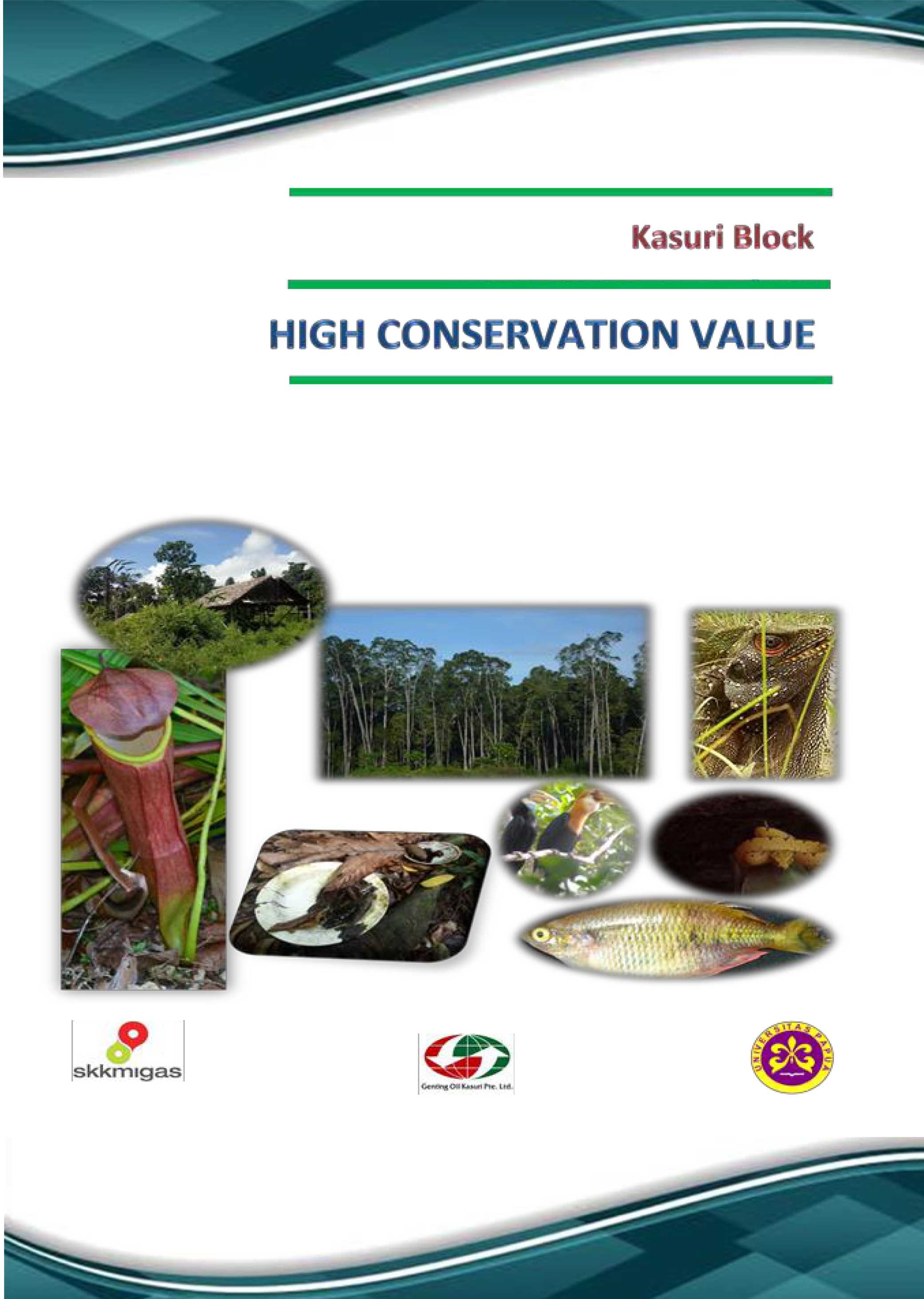 Kasuri block high conservation value [sumber elektronis]