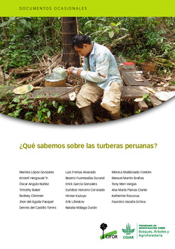 Que sabemos sobre las turberas peruanas? [sumber elektronis]